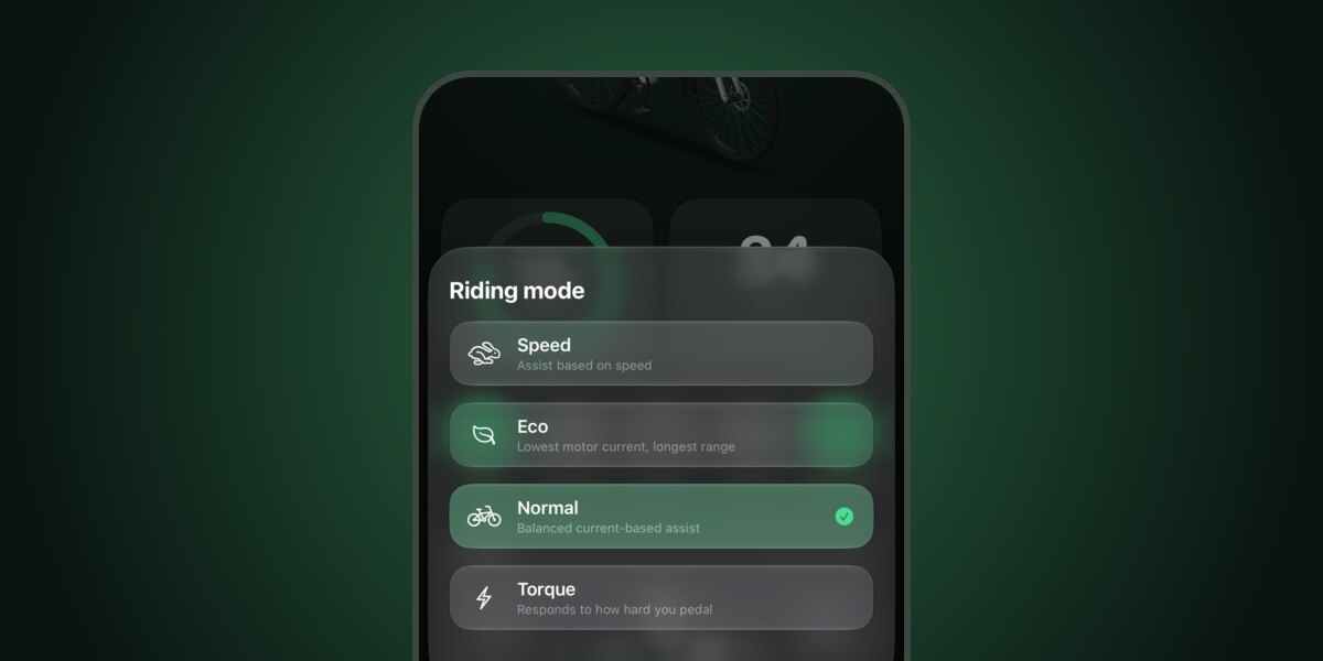 De rijstanden Speed, Eco, Normal en Torque in de E-Lett app